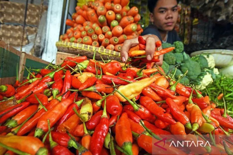 Harga pangan Jumat, cabai rawit Rp97.250/kg, bawang merah Rp43.850/kg