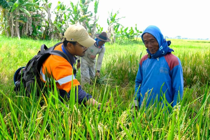 WPI komitmen mendukung program swasembada pangan