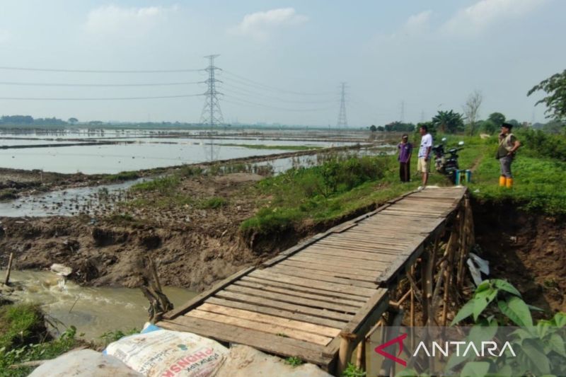 Bekasi siapkan 43,8 ton benih padi bagi petani terdampak banjir 