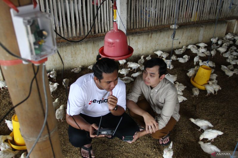 Dosen Fakultas Peternakan UB bangun kandang ayam berbasis IoT