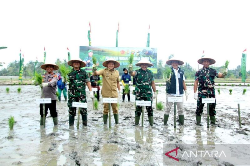 Pemkab Serdang Bedagai tingkatkan sektor pertanian