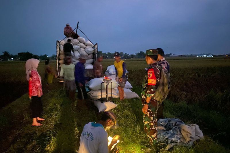 Bulog Kediri merealisasikan serapan gabah dan beras terbanyak di Jatim