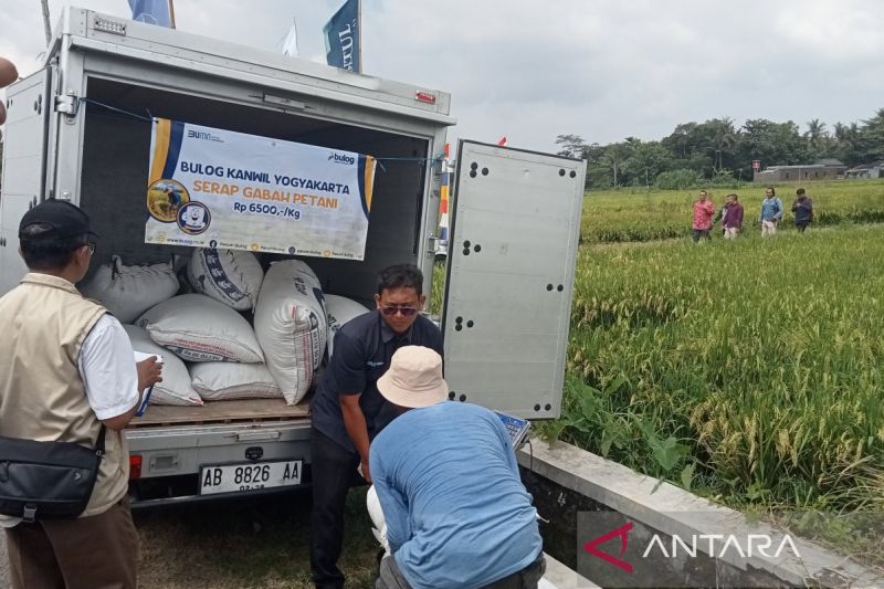 Wamentan: Bulog lakukan jemput bola serap gabah kering panen petani