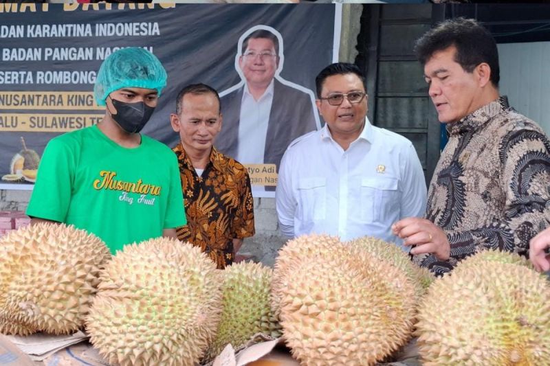 Bapanas dukung ekspor durian ke China lewat pengawalan keamanan mutu