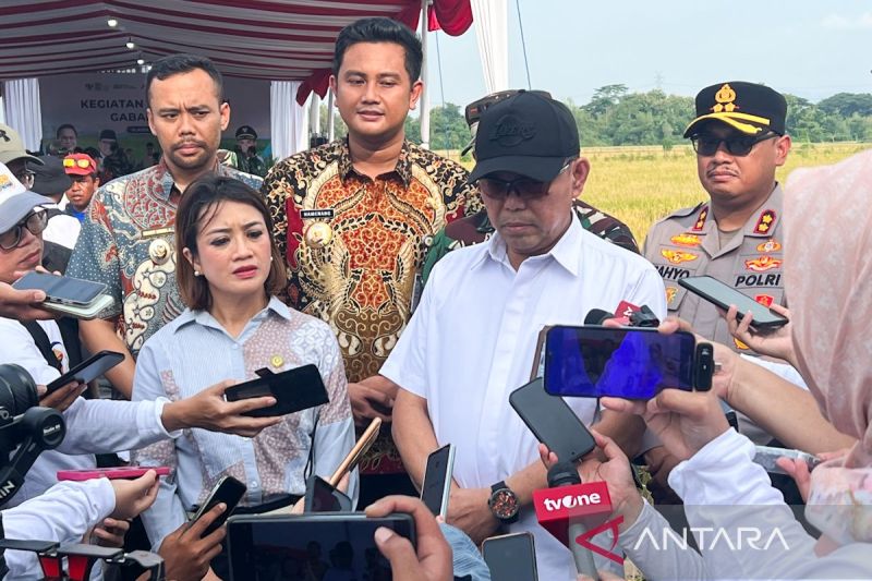 PCO: Pemerintah atasi paradoks pangan dan kesejahteraan petani