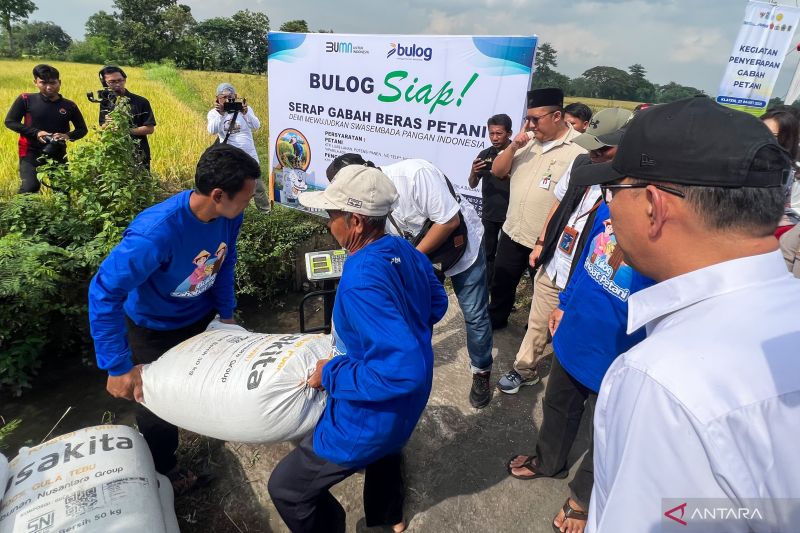 Bulog libatkan TNI-Polri kawal penyerapan gabah sesuai HPP Rp6.500/kg