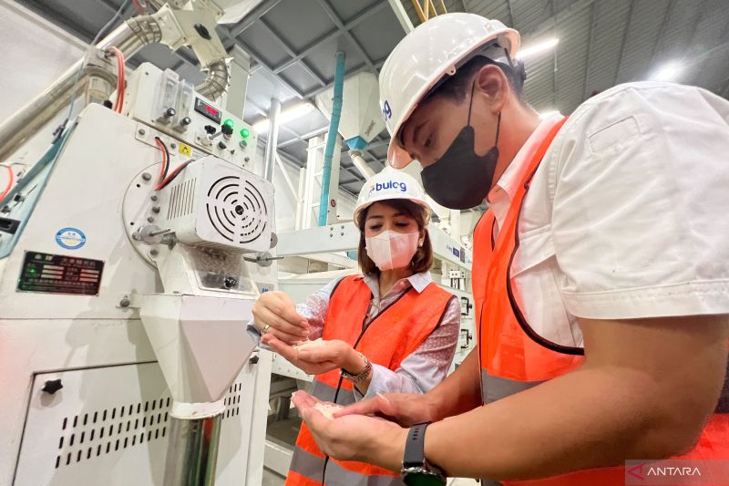 Bulog maksimalkan SPP Sragen 120 ton per siklus saat puncak panen