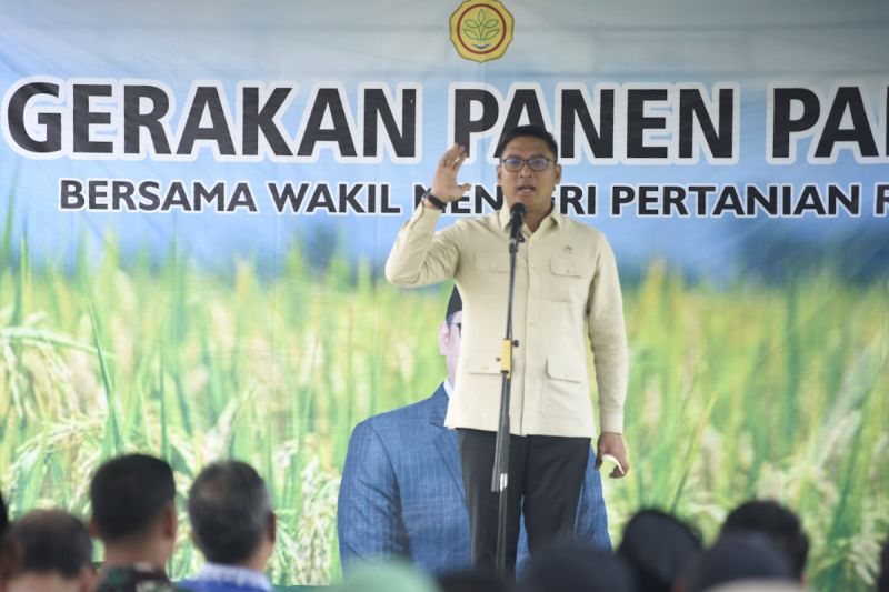 Wamentan sebut Bantul konsisten produksi padi terbaik nasional