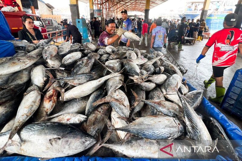 kkp-tegaskan-penangkapan-tuna-sirip-biru-selatan-wajib-patuhi-rfmo