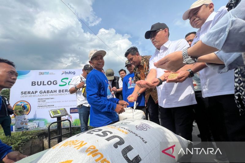 Wadirut Bulog minta petani jaga kualitas gabah agar pengolahan cepat