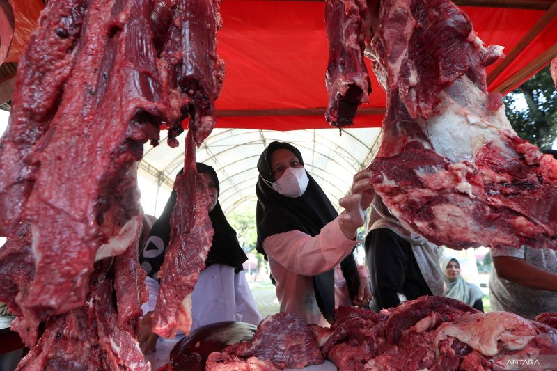kenali-khasiat-daging-sapi-untuk-imun-otot-dan-kesehatan-tulang