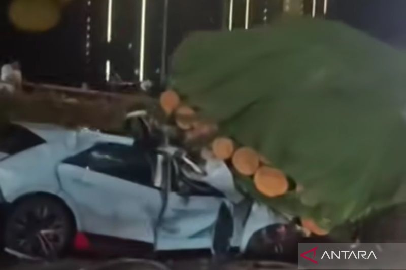 Gara-gara hindari kucing, truk tangki terguling di Jalan Raya Bogor