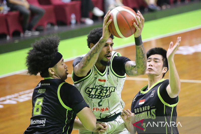 IBL 2025: Borneo Hornbills tekuk tuan rumah Pacific Caesar Surabaya dengan skor 97-96