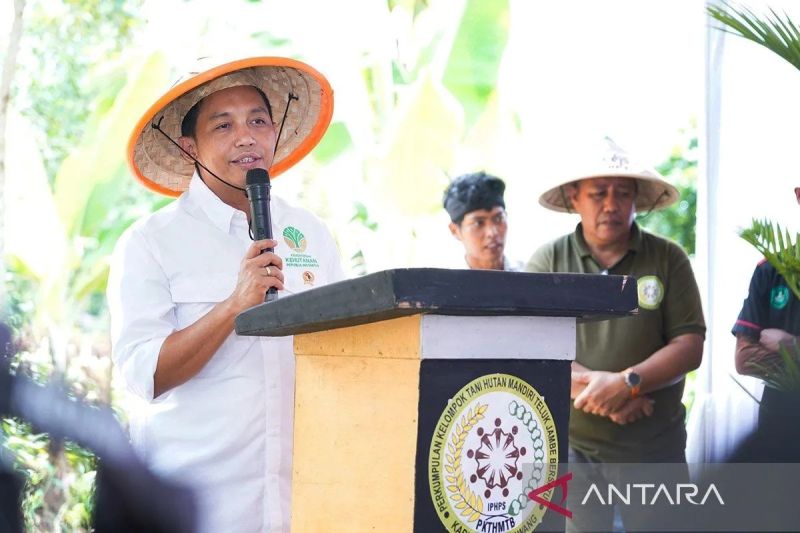Menhut: Potensi kawasan hutan melalui pemanfaatan berkelanjutan 