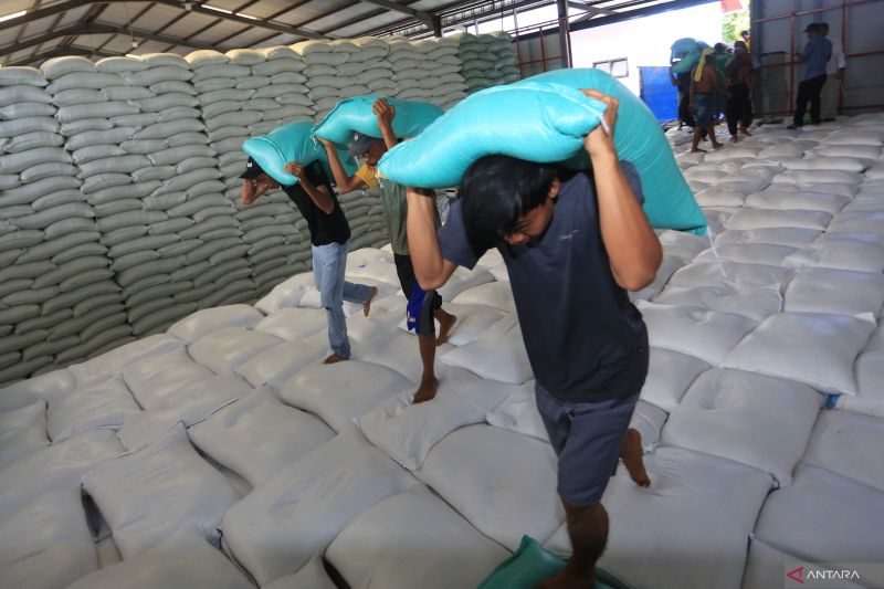 bps-mencatat-harga-beras-premium-turun-jadi-rp13047-pada-april-2025