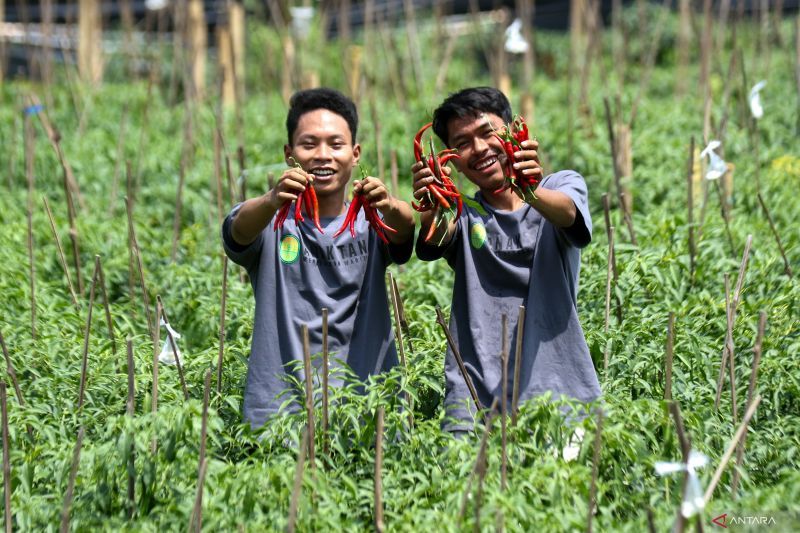 saatnya-fokus-pada-alih-generasi-petani
