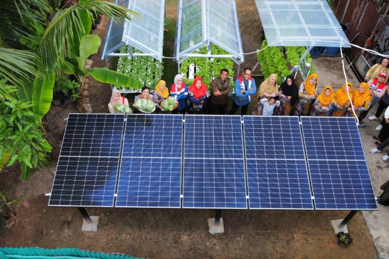 Manfaatkan pembangkit surya, PNRE dorong kegiatan hidroponik efisien 