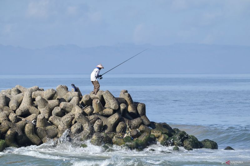 12-rekomendasi-umpan-untuk-mancing-di-air-tawar