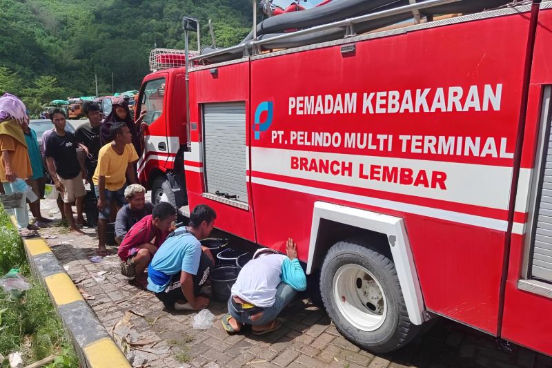 Pelindo perkuat koordinasi pengangkutan sapi dari NTB ke Jawa 