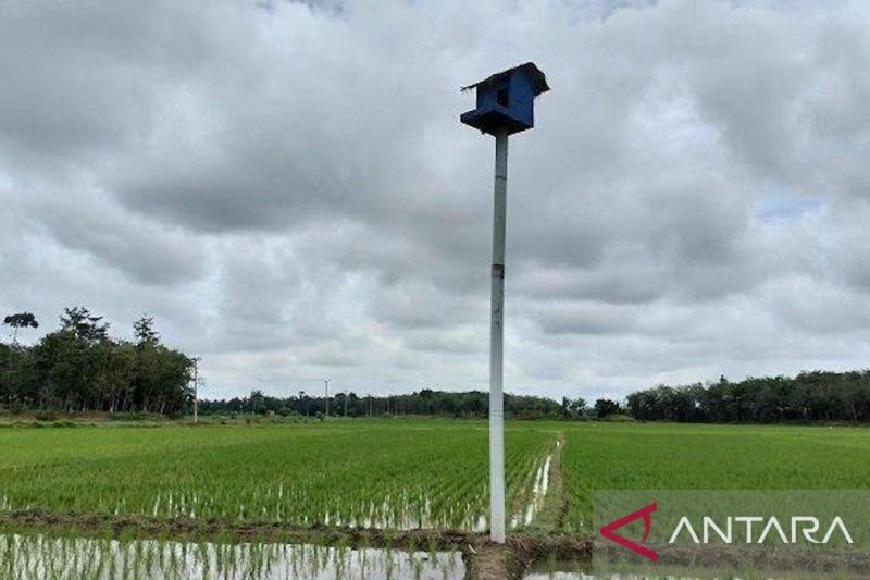 Menteri PU: Pemberian burung hantu dari Presiden dukung teknologi IPHA 