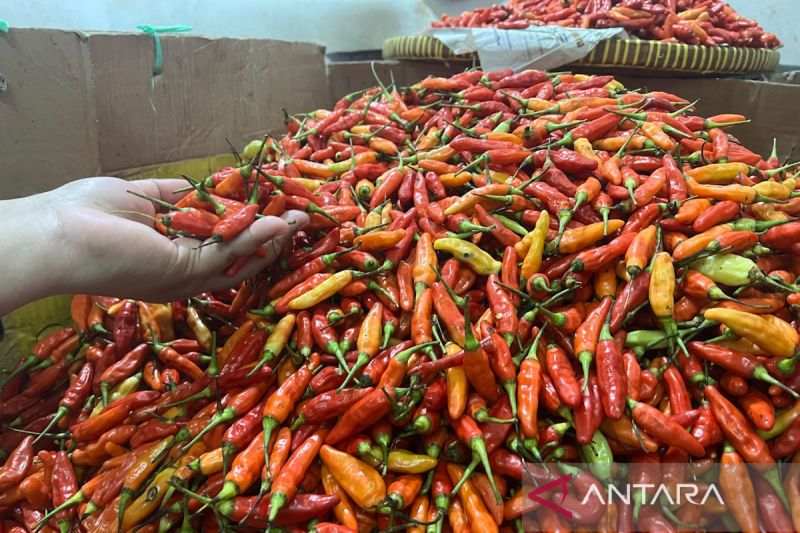Harga pangan: bawang merah Rp43.148/kg, cabai rawit merah Rp80.379/kg 
