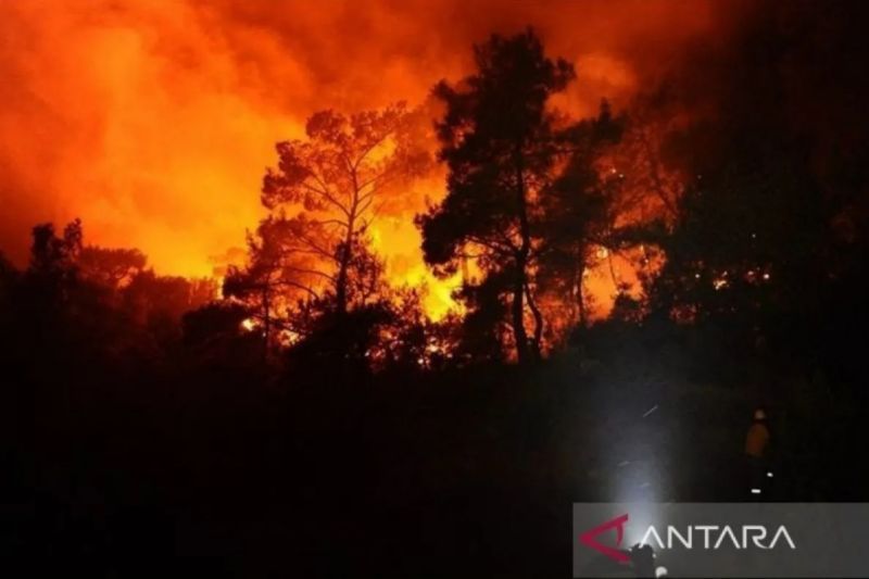 1,500 Lebih petugas damkar di Portugal berjuang padamkan lima karhutla