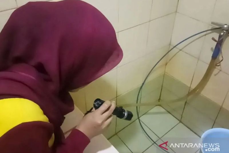 cara-ampuh-basmi-jentik-nyamuk-di-rumah-untuk-cegah-dbd