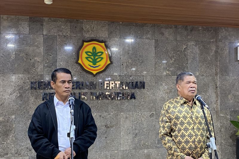 mentan-amran-sebut-malaysia-ingin-impor-beras-dari-indonesia