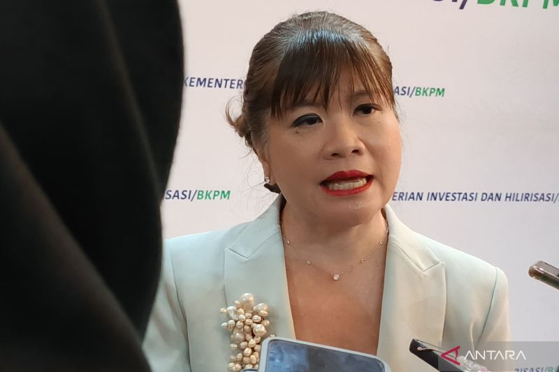 lg-mundur-investasi-di-ri-apindo-yakini-hanya-penundaan
