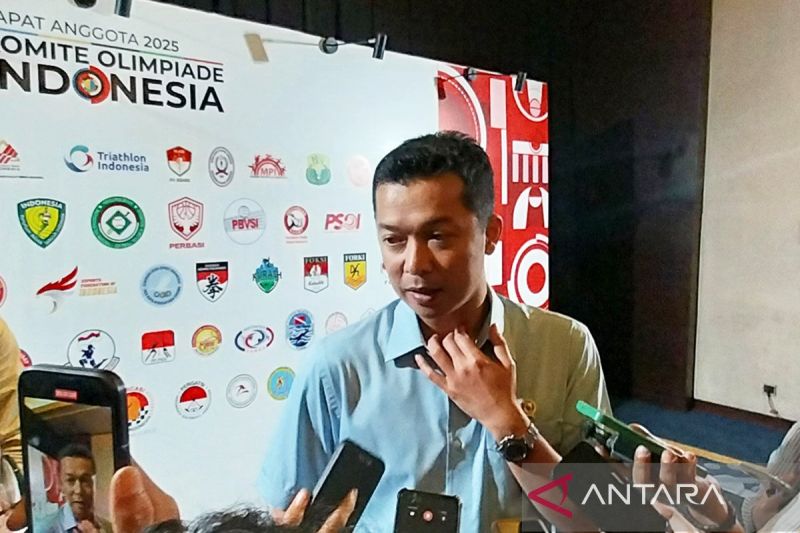 wamenpora-taufik-hidayat-disebut-terpilih-jadi-komisaris-pln-epi