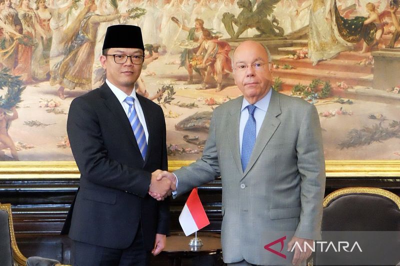 Indonesia tegaskan komitmen untuk perkuat peran di BRICS