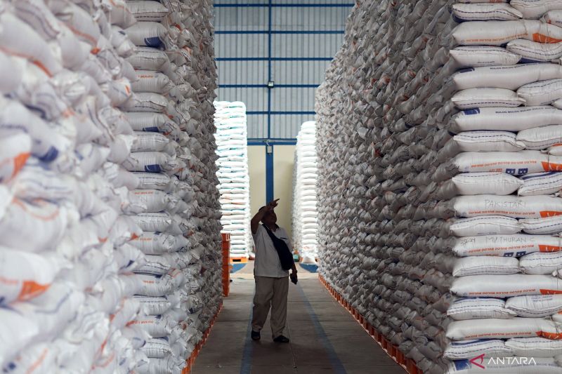 bps-perkirakan-produksi-beras-januari-juni-2025-capai-1876-juta-ton