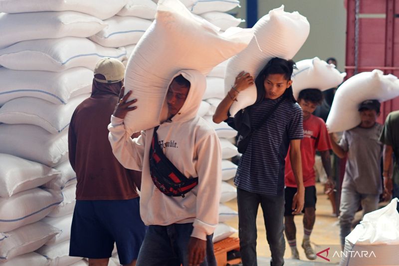 satu-harga-gabah-dan-tantangan-mendasar-regulasi-pangan