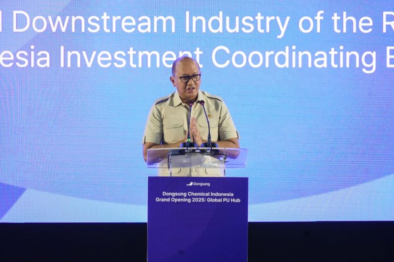 menteri-rosan-pastikan-investasi-korea-selatan-di-ri-tetap-tinggi