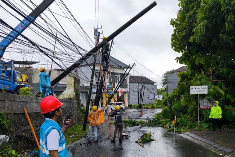 pln-investigasi-penyebab-listrik-padam-di-bali