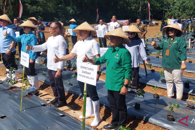 pemprov-maluku-canangkan-gerakan-sekolah-menanam-cabai