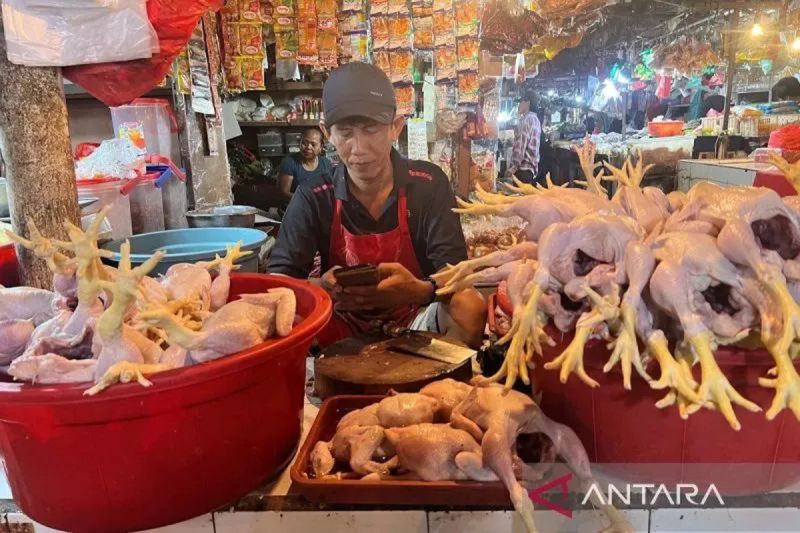 harga-pangan-daging-ayam-rp34243kg-cabai-rawit-merah-rp62114kg
