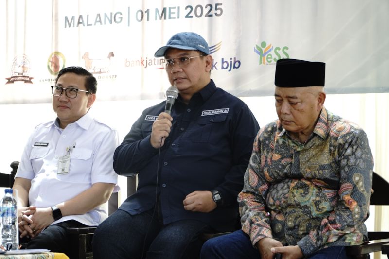 ombudsman-penghentian-impor-daging-kambing-lindungi-peternak-lokal