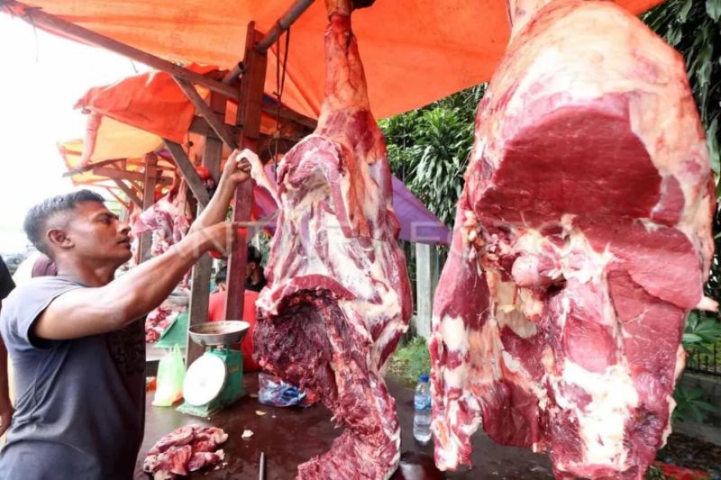 peneliti-cips-penghapusan-kuota-impor-percepat-kebutuhan-daging-sapi