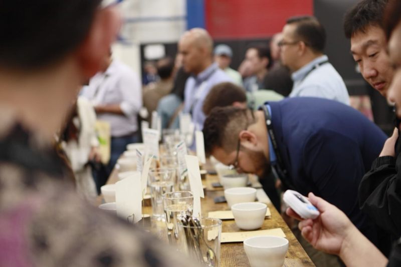 produk-kopi-specialty-indonesia-catat-transaksi-rp498-miliar-di-as
