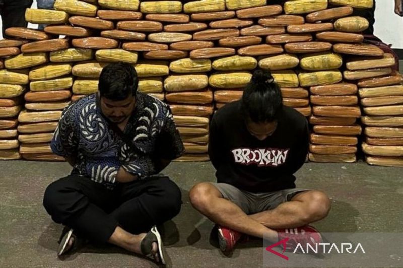 dua-orang-ditangkap-terkait-penyelundupan-143-kilogram-ganja