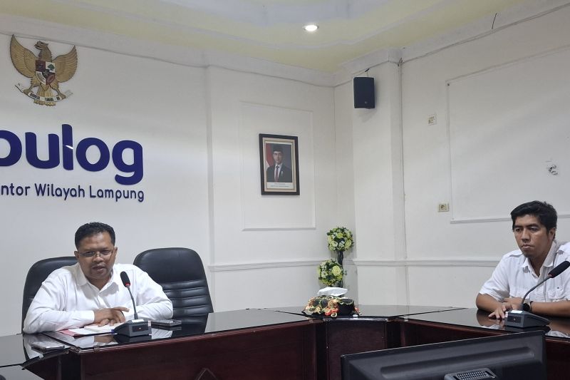 bulog-lampung-tambah-40-unit-gudang-sewa-gabah-karena-gudang-penuh