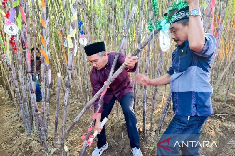 pg-assembagoes-optimistis-capai-target-giling-500000-ton-tahun-ini