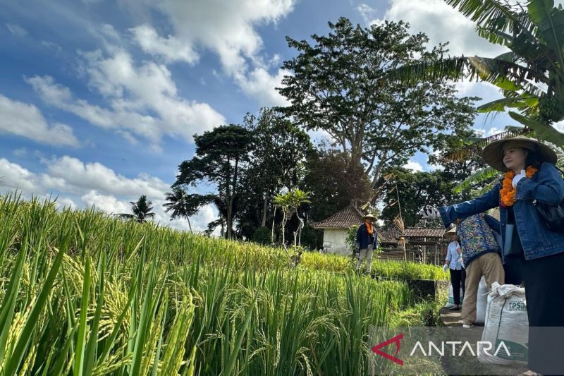 pertamina-kenalkan-desa-energi-berdikari-bali-kepada-jurnalis-aljazair