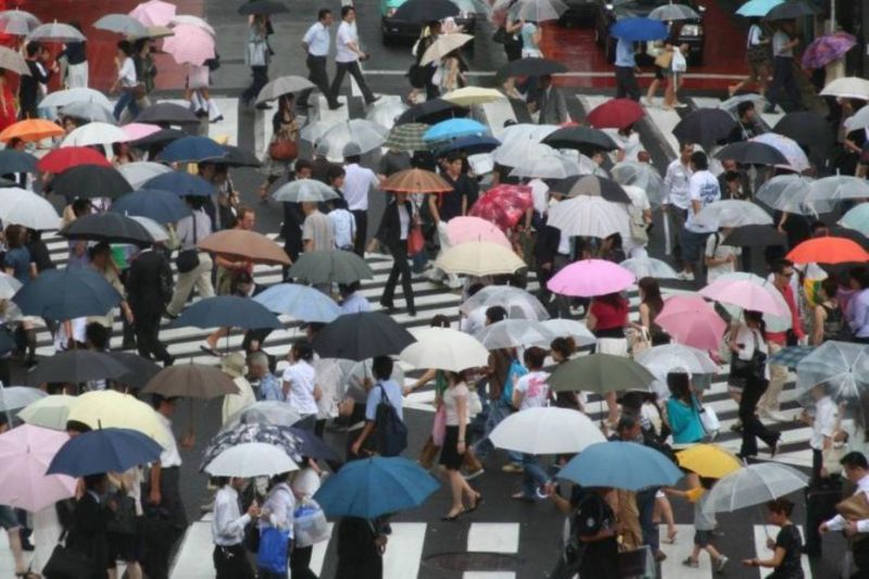 Sebagian besar perusahaan Jepang rasakan dampak negatif tarif AS