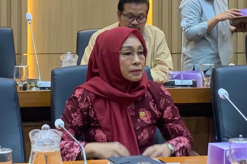 Anggota DPR soroti penerapan MBG, perlu diperluas jangan di kota saja
