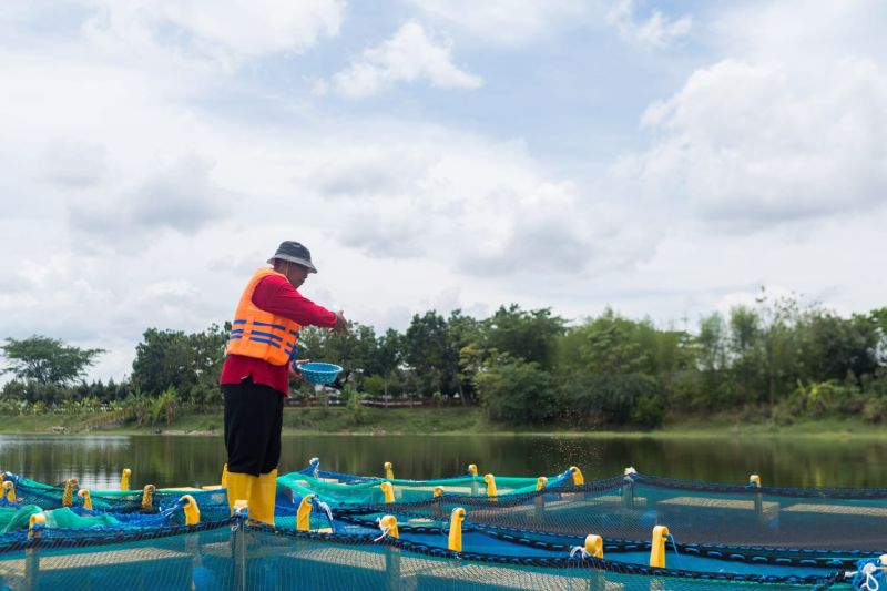 sig-sebut-program-pengelolaan-lingkungan-serap-20-ribu-pekerja