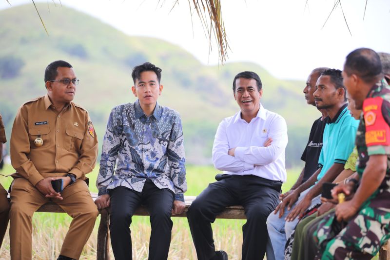 mentan-dampingi-wapres-ke-ntt-cek-kemajuan-pertanian
