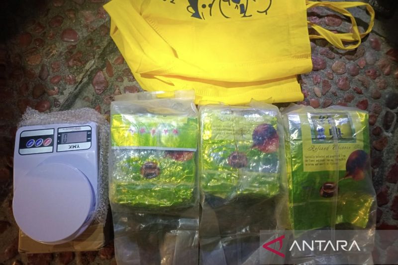 polisi-gagalkan-penyelundupan-sabu-seberat-3-kilogram-di-jakarta-barat