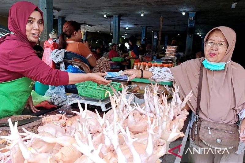 bapanas-harga-daging-ayam-rp34438kg-cabai-rawit-rp57117kg